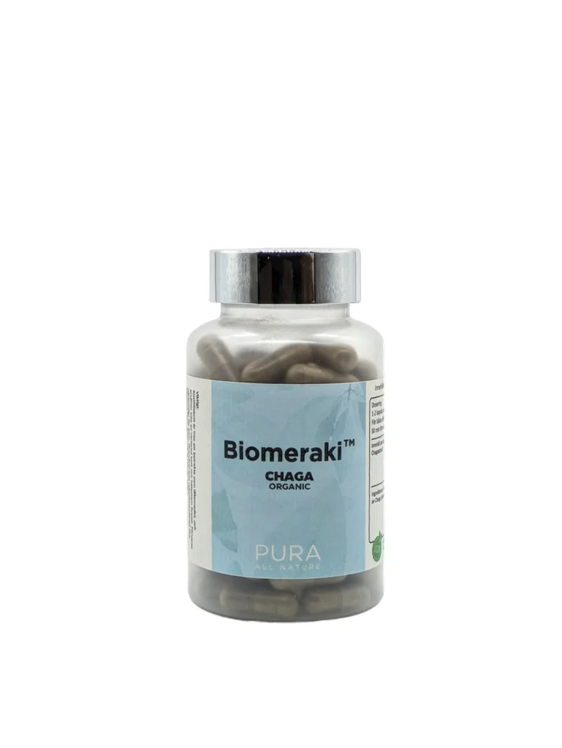 Chaga PURA – Svampextrakt mot inflammation, stress & oxidativ skada