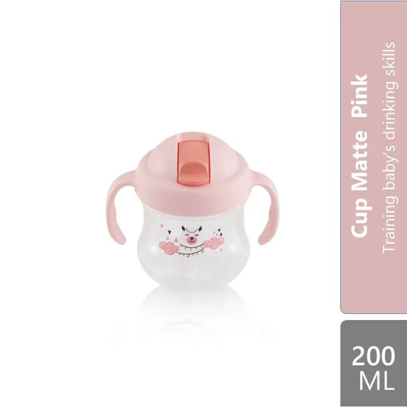 Pigeon Mag Mag Straw Cup 200ml & Other Type