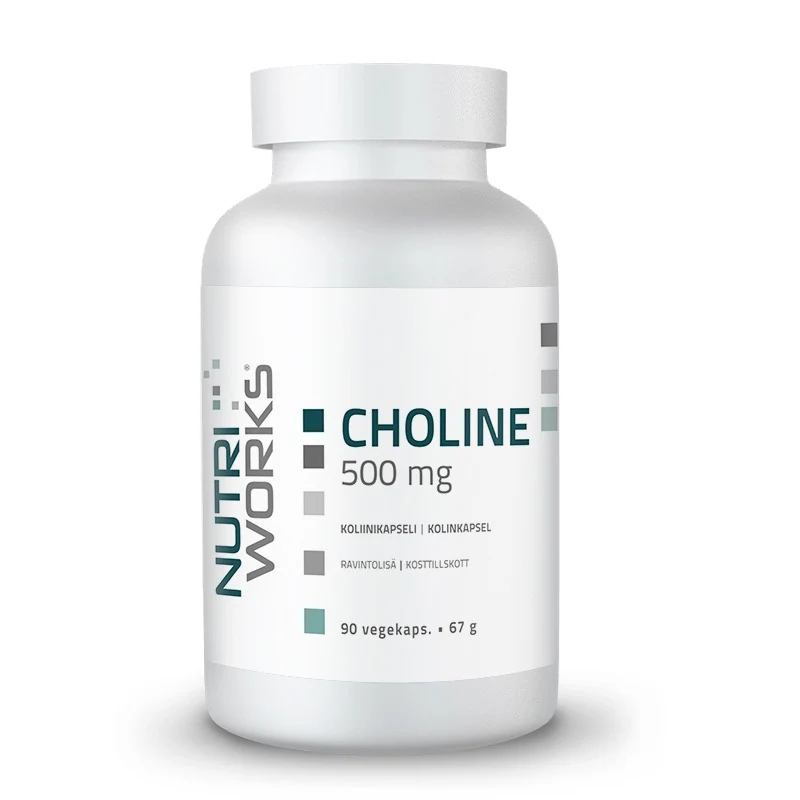 Choline 500mg 90kps.