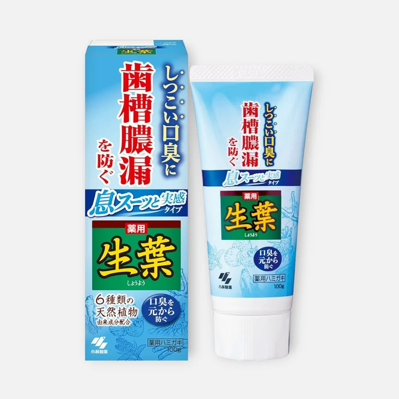 Kobayashi Shoyo Medicated Herbal Super Cool Toothpaste 100g