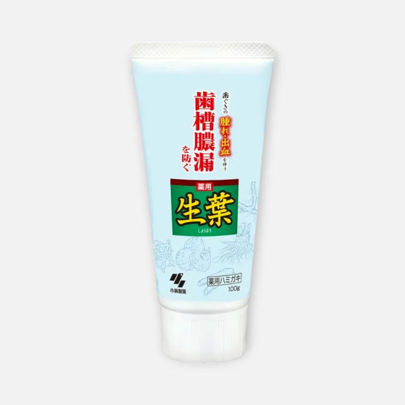 Kobayashi Shoyo Medicated Herbal Mint Toothpaste 100g