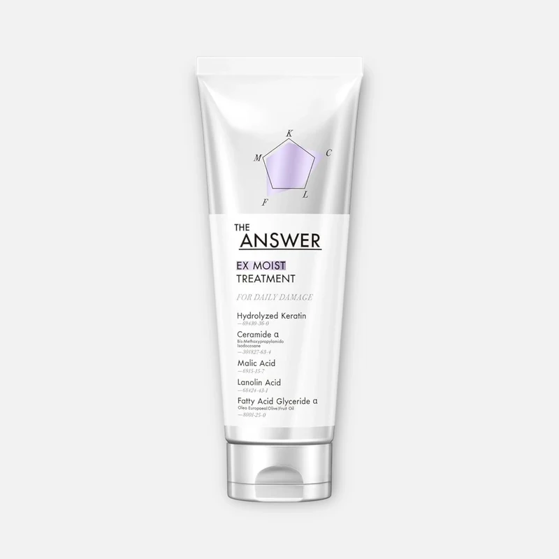 Kao The Answer EX Moist Treatment 220g