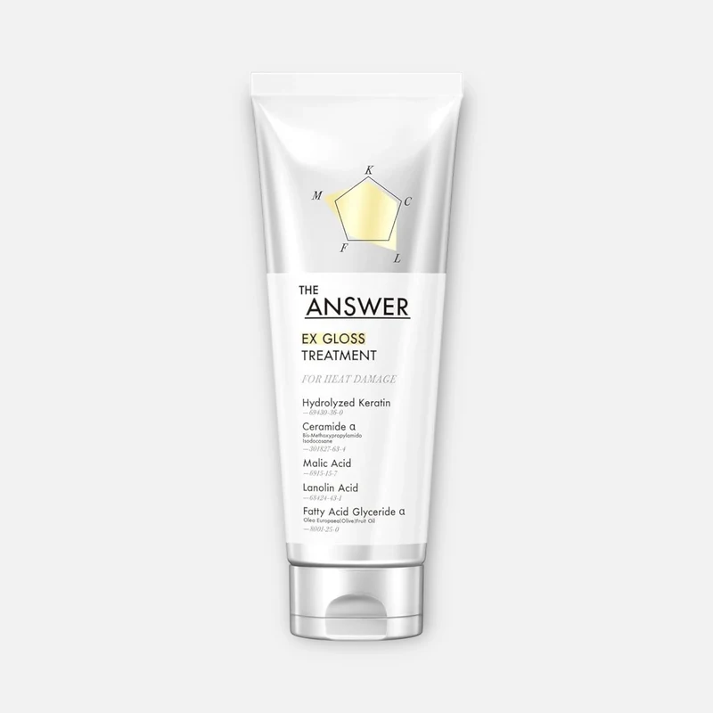 Kao The Answer EX Gloss Treatment 220g