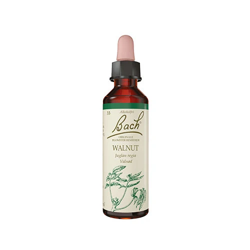 Bach Original Blomsterremedier | Valnöt
