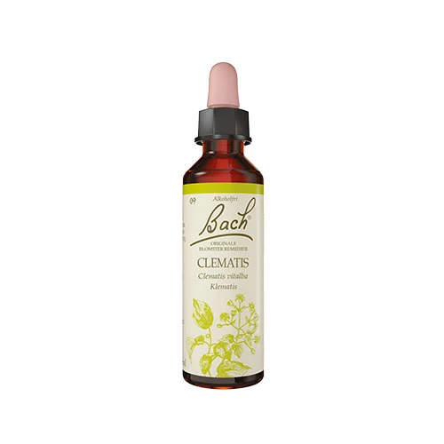 Bach Original Blomsterremedier | Klematis