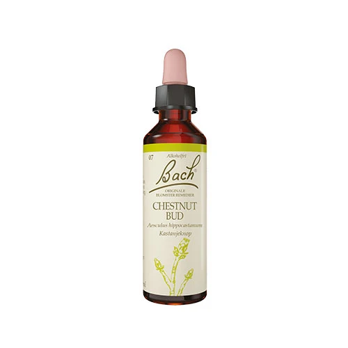 Bach Original Blomsterremedier | Kastanjeknopp