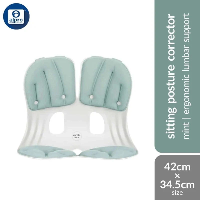 Curble Grand Pastel 1s (Mint/ Peach/ Lavender) | Ergonomic Lumbar Support