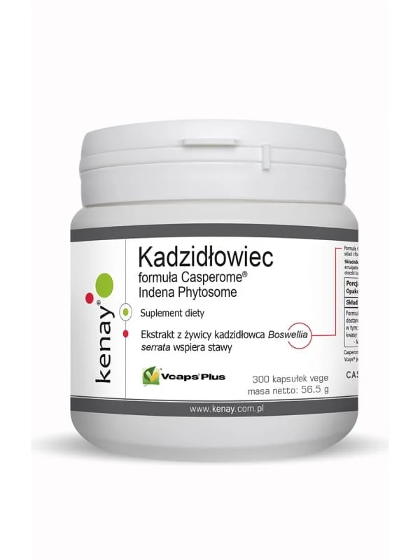 Casperome® Indena Phytosom (300 Kapseln) KENAY