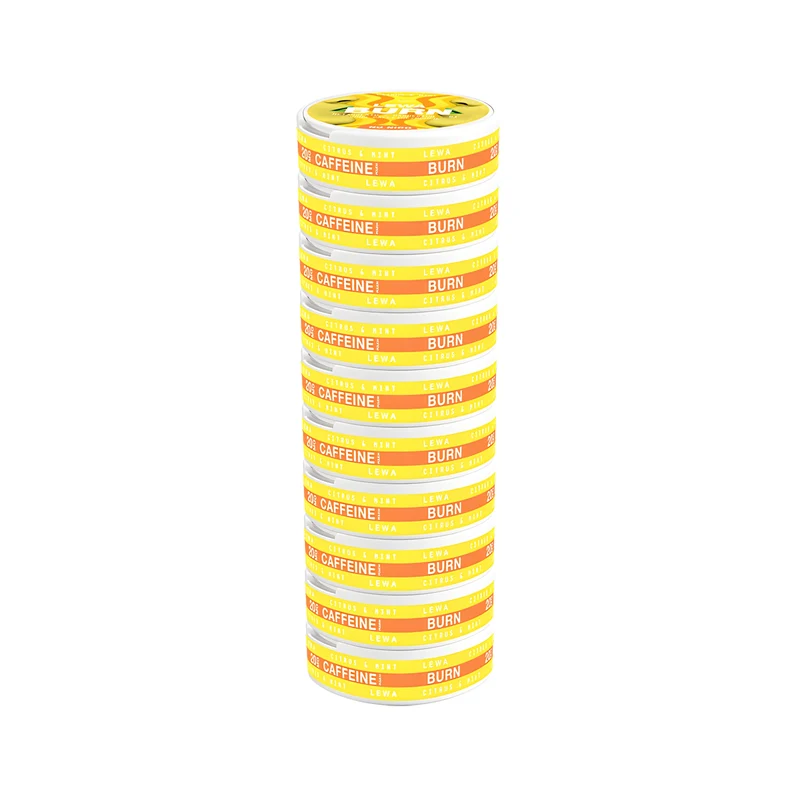 10 x LEWA Burn No Nico Citrus/Mint