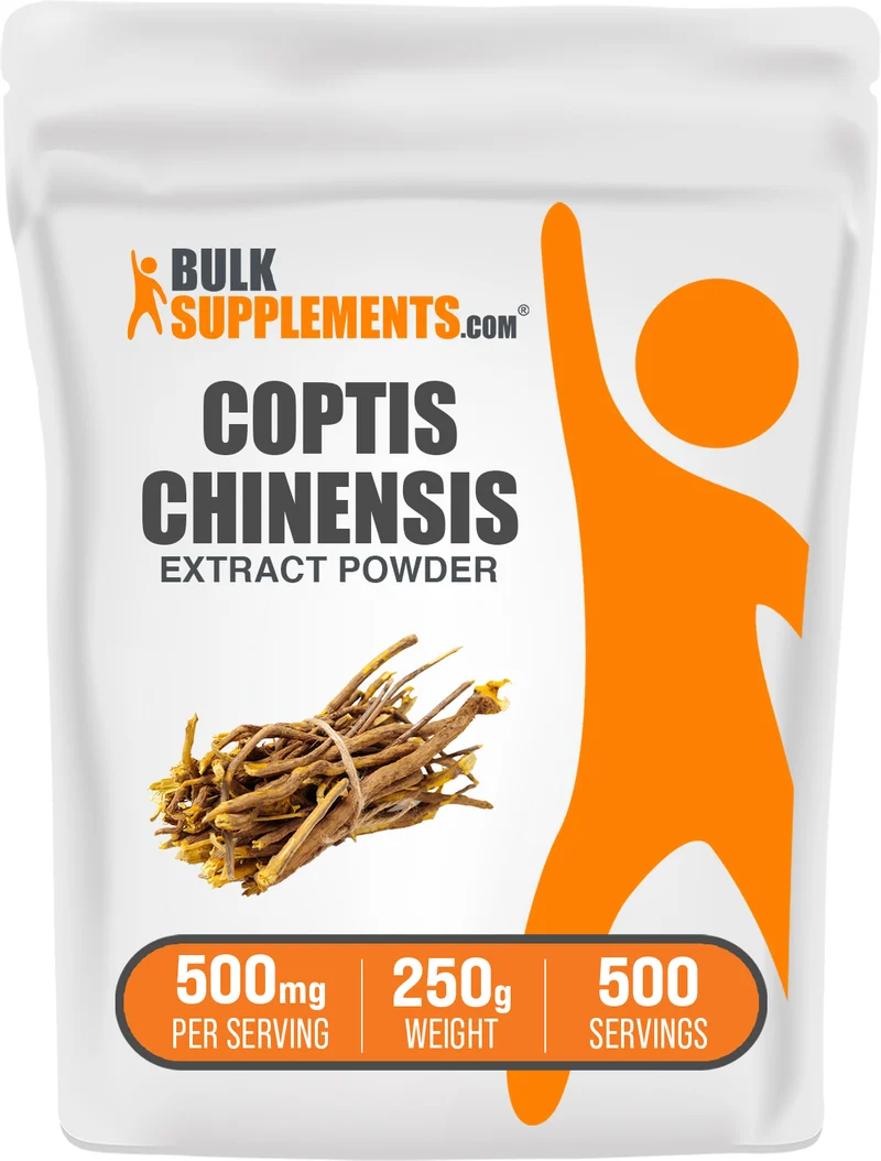 Coptis Chinensis Extract Powder