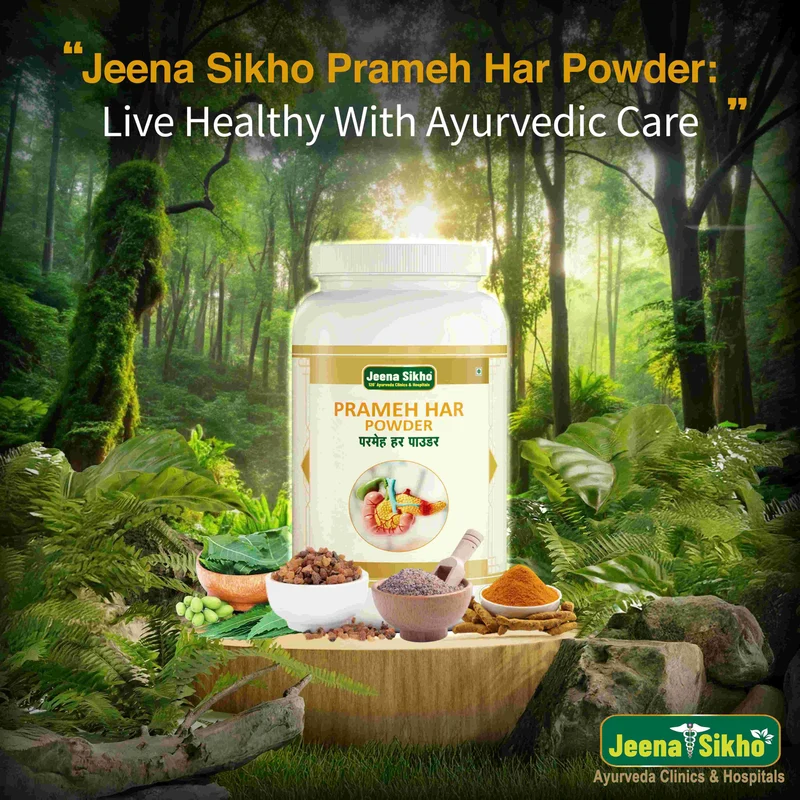 Prameh Har Powder | Herbal Diabetes Care Powder for Blood Sugar & Daily Energy