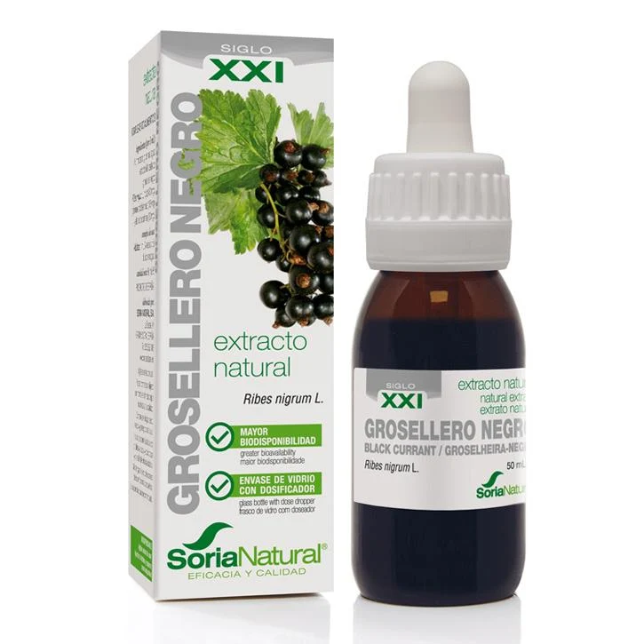 Mustaherukanlehtiuute XXI 50ml
