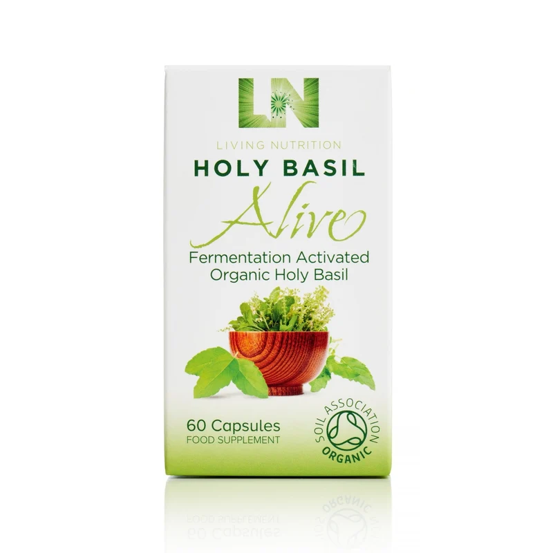 Fermenterad helig basilika