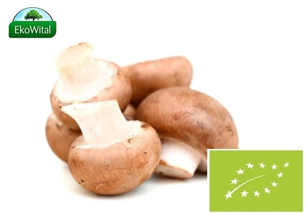 Bio-Braunpilze 250 g