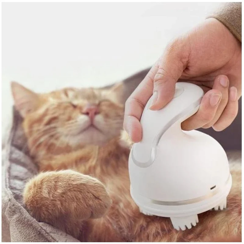 Katt og hund hodemassasje apparat Cat massager