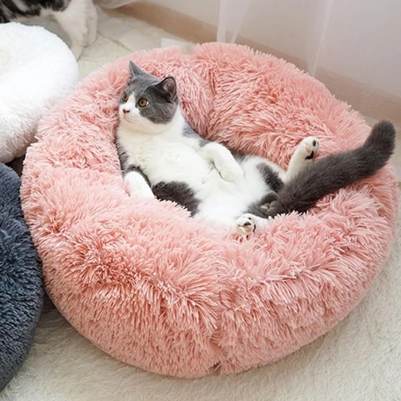 Katt og hund seng