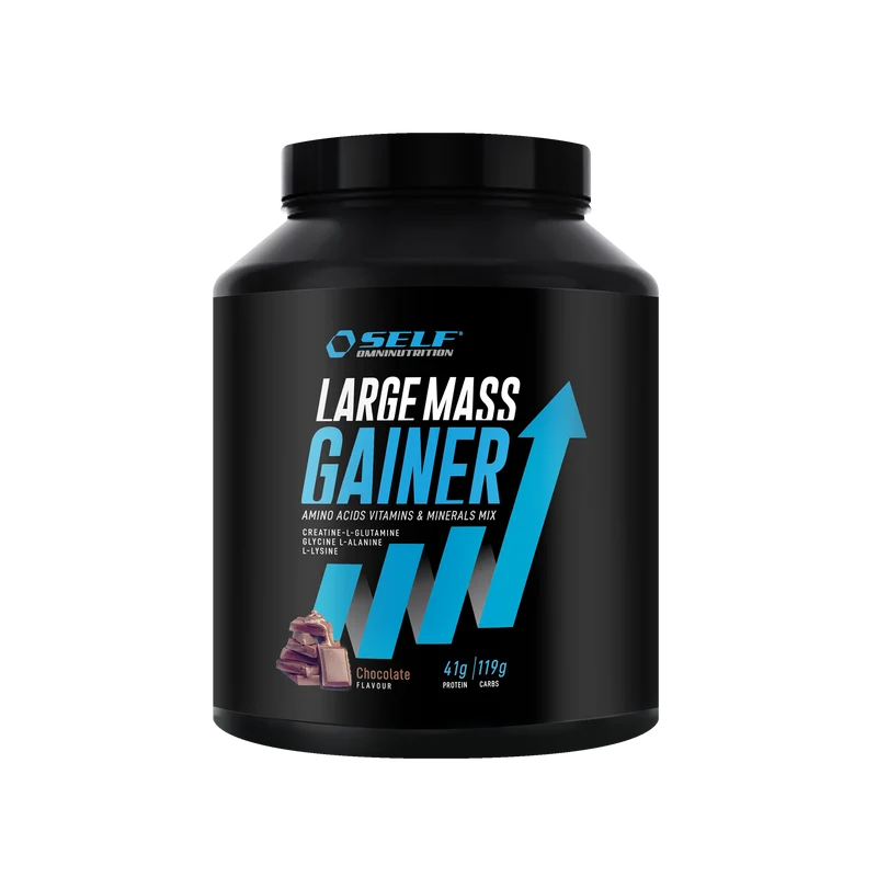Large Mass Gainer - 2kg