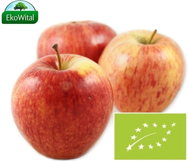 Gala-Äpfel BIO 1 kg