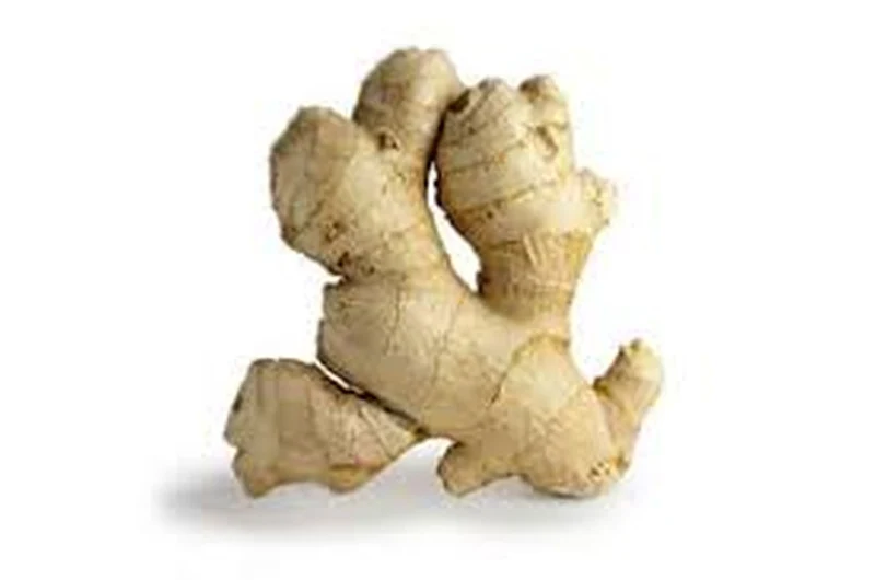Ingwer BIO IMPORT 1 kg