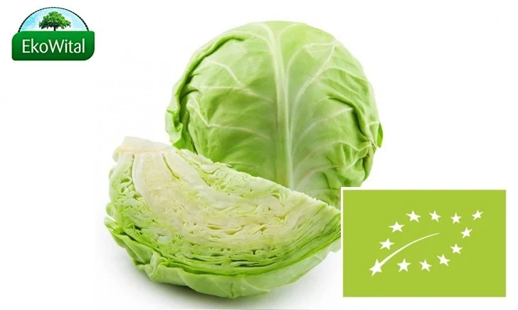 Weißkohl BIO 1 St.