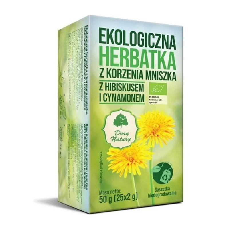 VILLAUSBEERE MIT HIBISKUS UND ZIMT BIO (25 x 2 g) 50 g - DARY NATURY