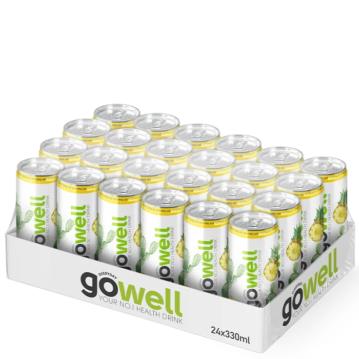 24 x GoWell Funktionsdryck Flak 33 cl
