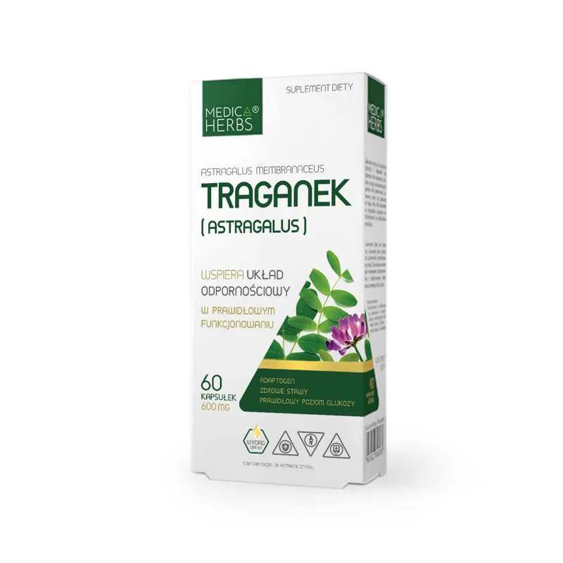 MEDICA HERBS Astragalus 600mg, 60 Kapseln.