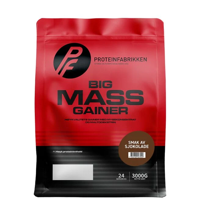 Big Mass Gainer, 3000 g