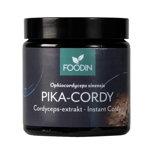 Foodin Pika-Cordy 40g