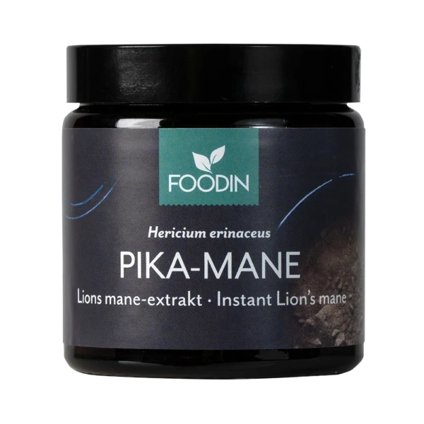Foodin- Snabb-Mane 40g