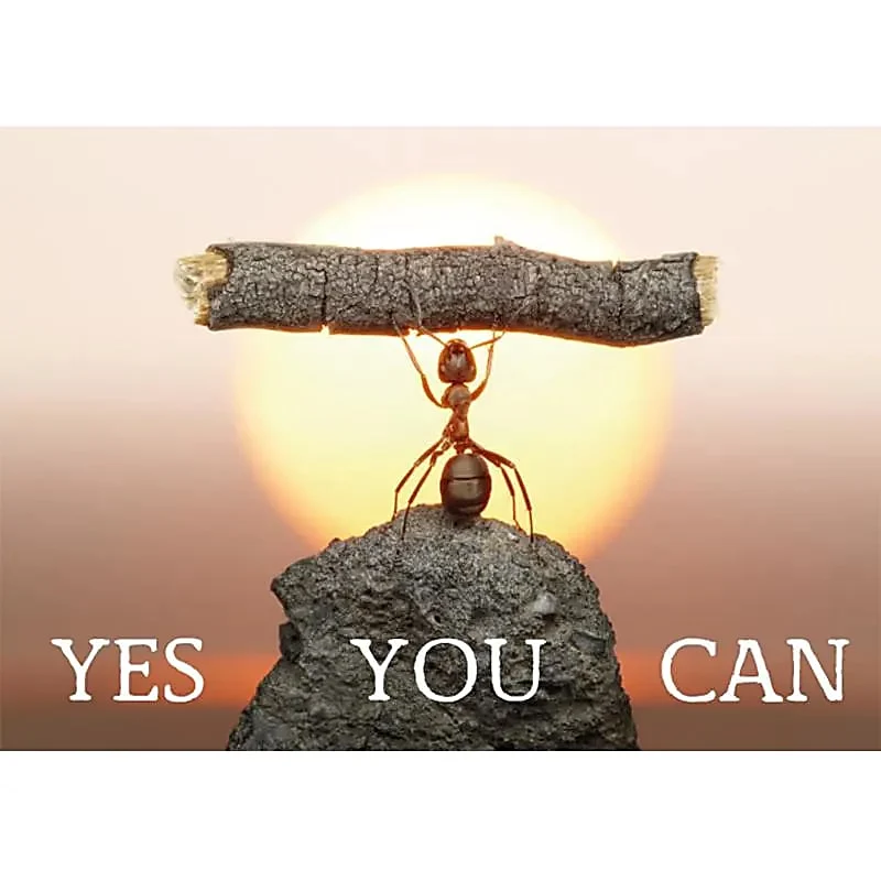 Yes You Can - postikortti