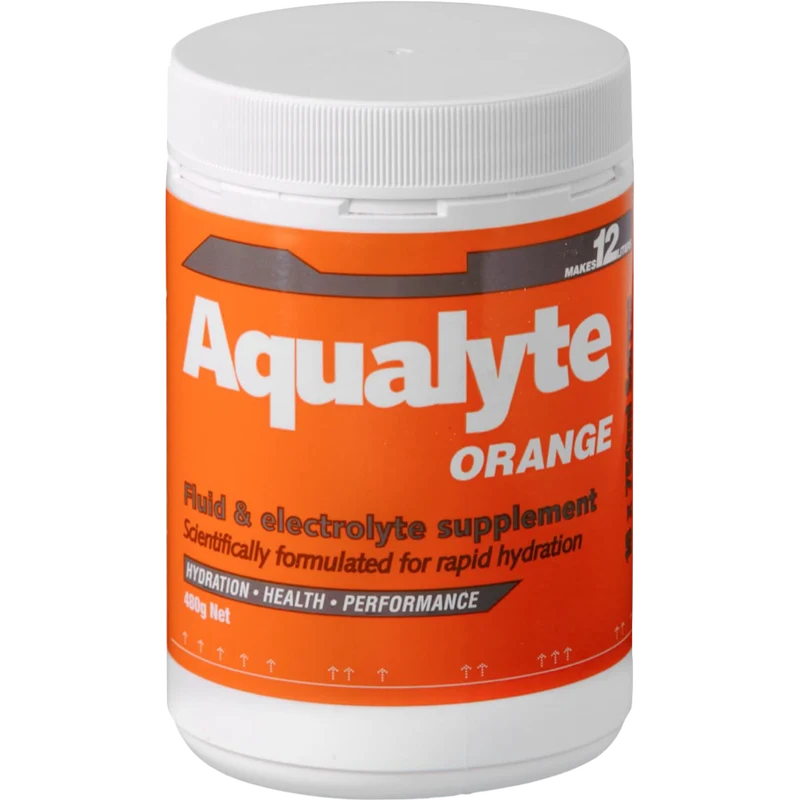 Aqualyte 480g Tub Orange