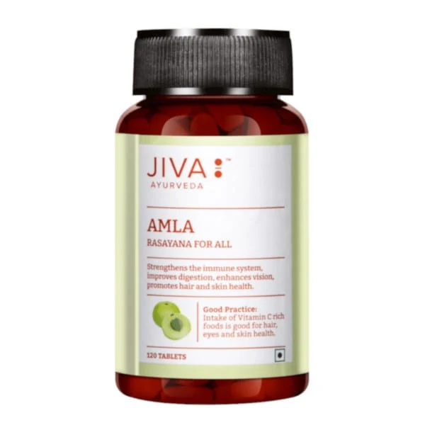JIVA Ayurveda Amla 120 Tabletten