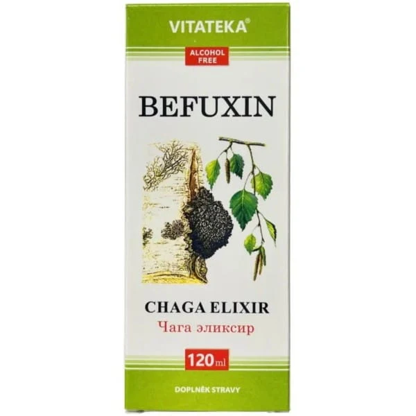 Befungin Czaga Elixier 120 ml ohne Alkohol