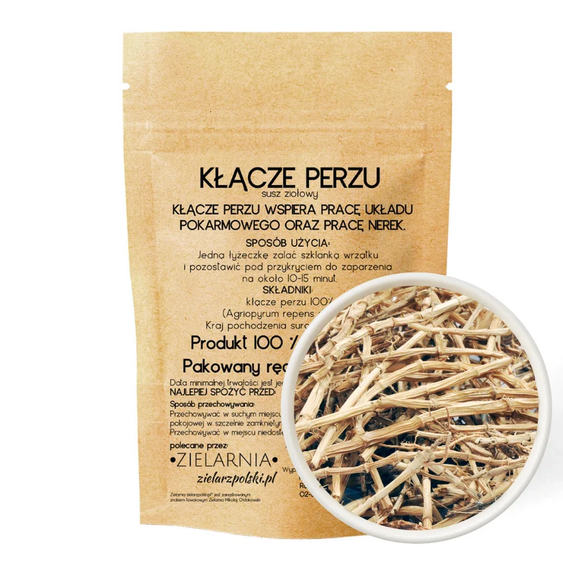Holunderbeeren Rhizom 50g ZIELARZPOLSKI