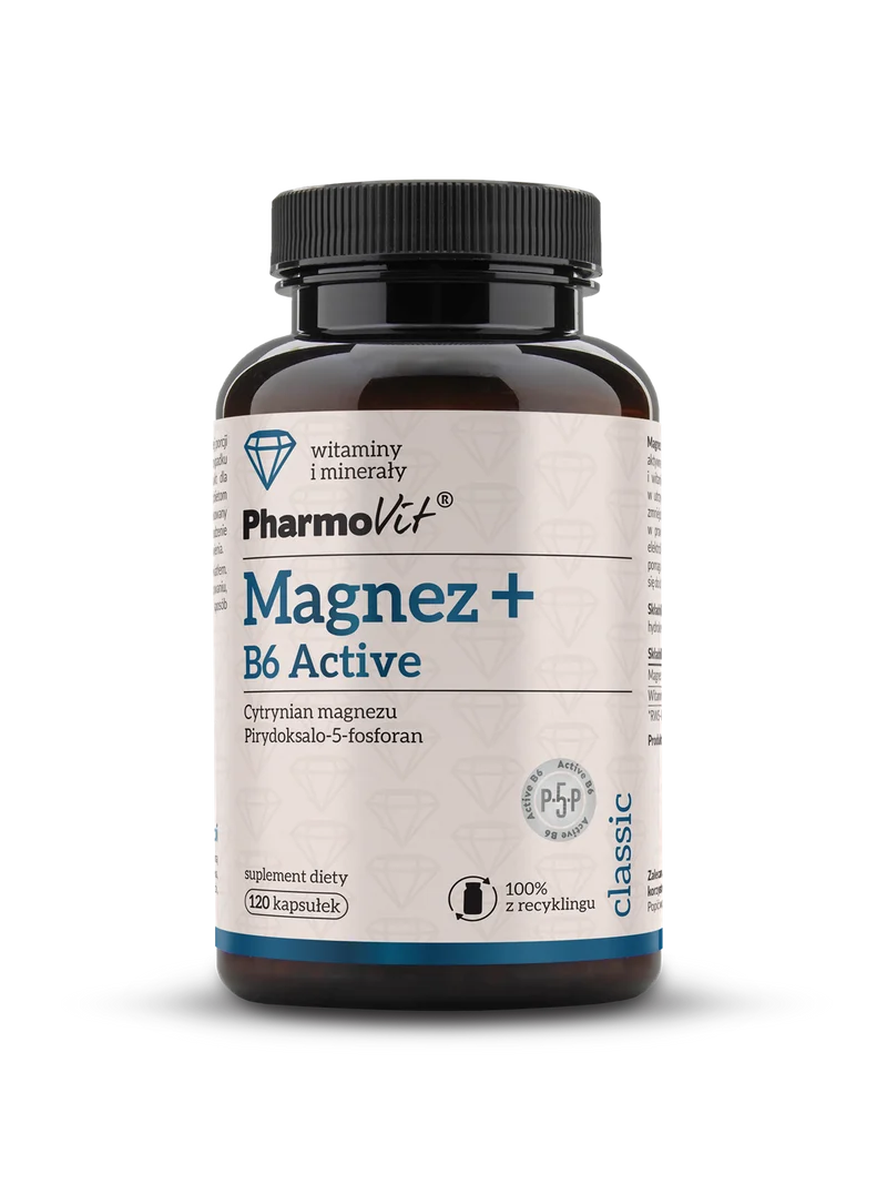 Magnesium + B6 Aktiv 120 Kapseln | Klassisches Pharmovit