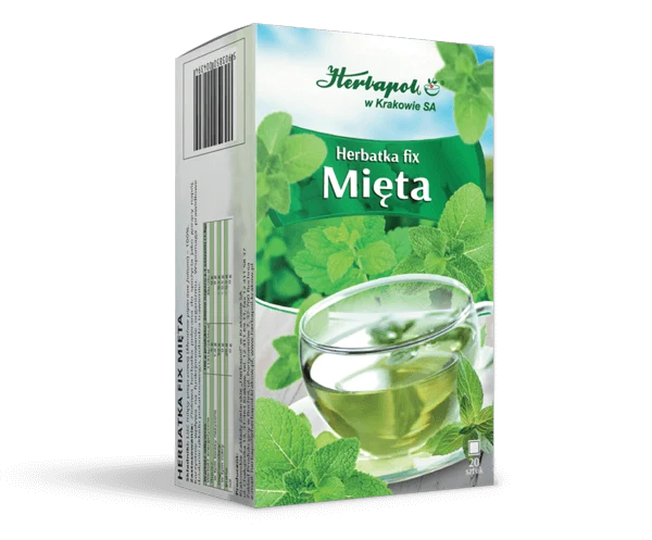 HERBAPOL Minze Fix Tee