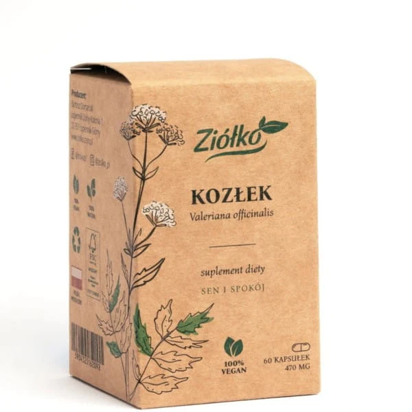 Kraut Kozlova 60 k