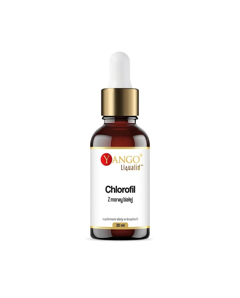 YANGO Weiße Maulbeere Chlorophyll Tropfen (30 ml)