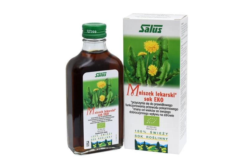 BIO MINT-Saft 200 ml - SALUS