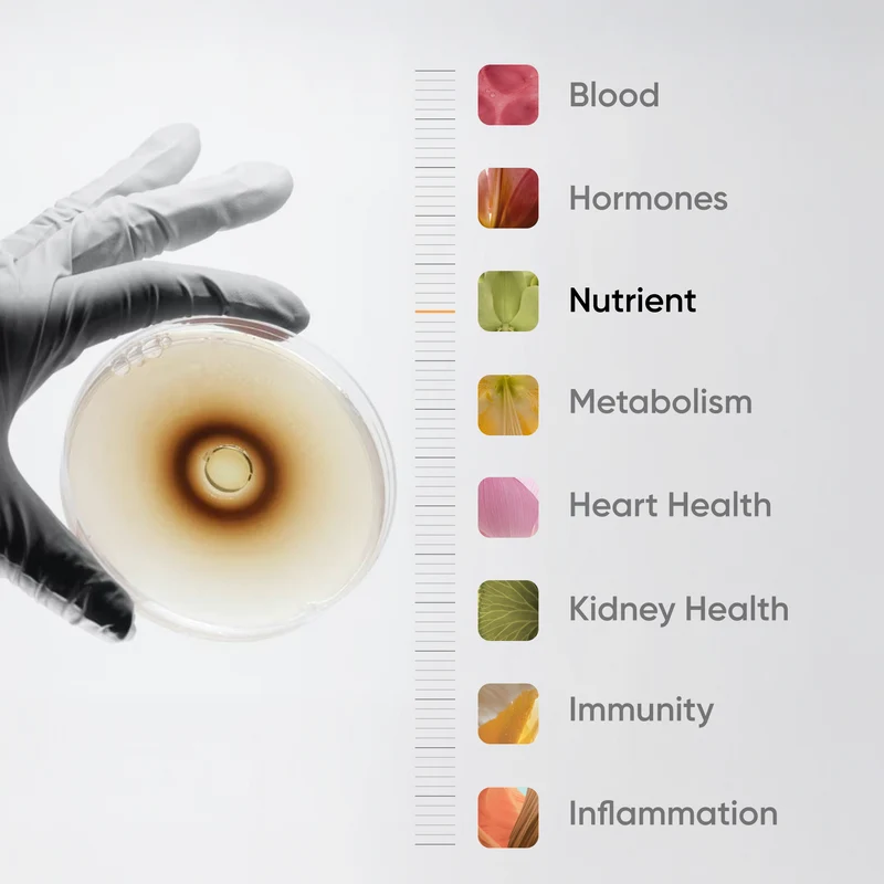 Book Your Blood Test