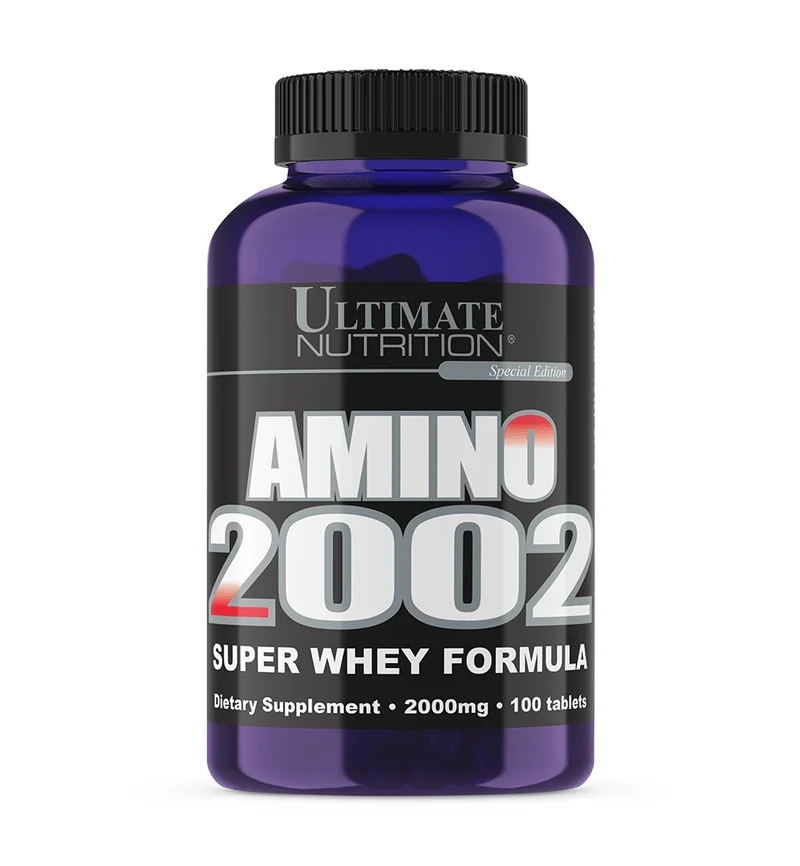 AMINO 2002