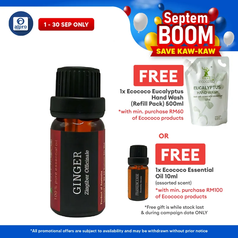 ecococo Ginger Essential Oil 10ml | Helps To Relieve Muscle Pain