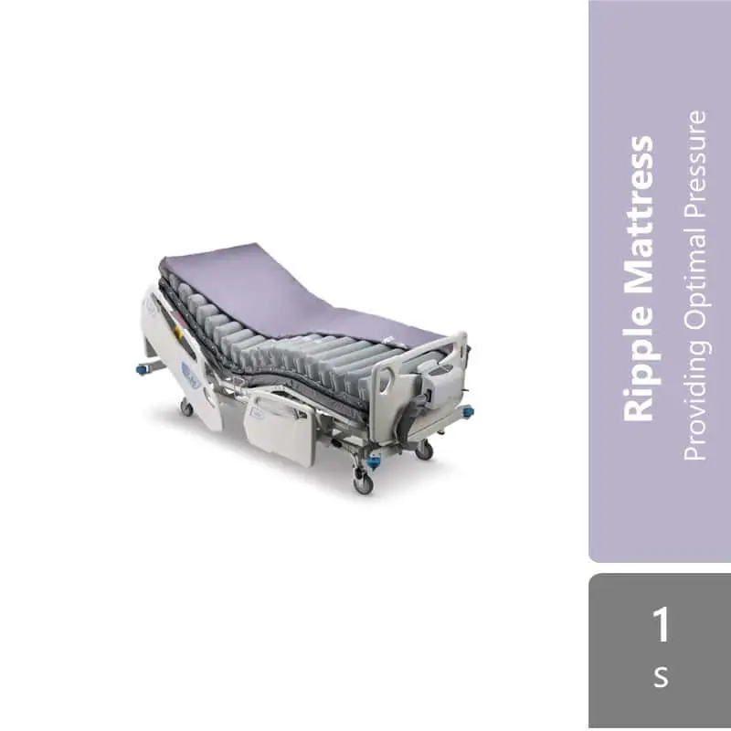 Apex Air Mattress Domus Auto